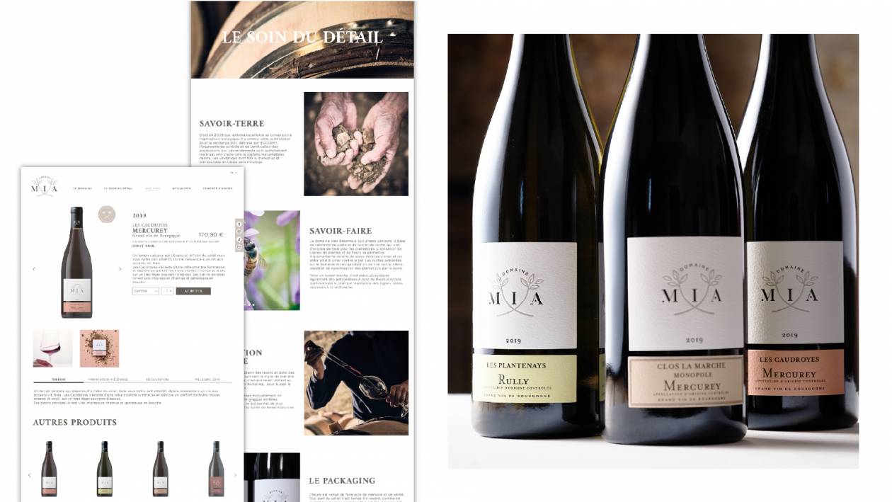 Création identité de marque globale